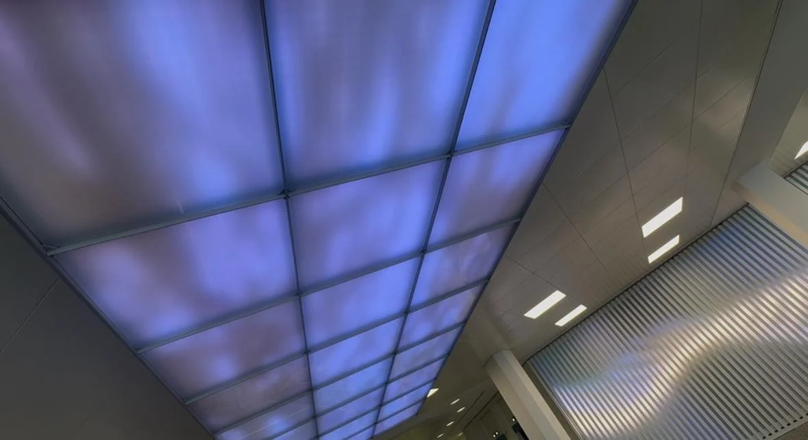 WhatsApp Image 2025-07-29 at 09.46.50 (2).jpeg