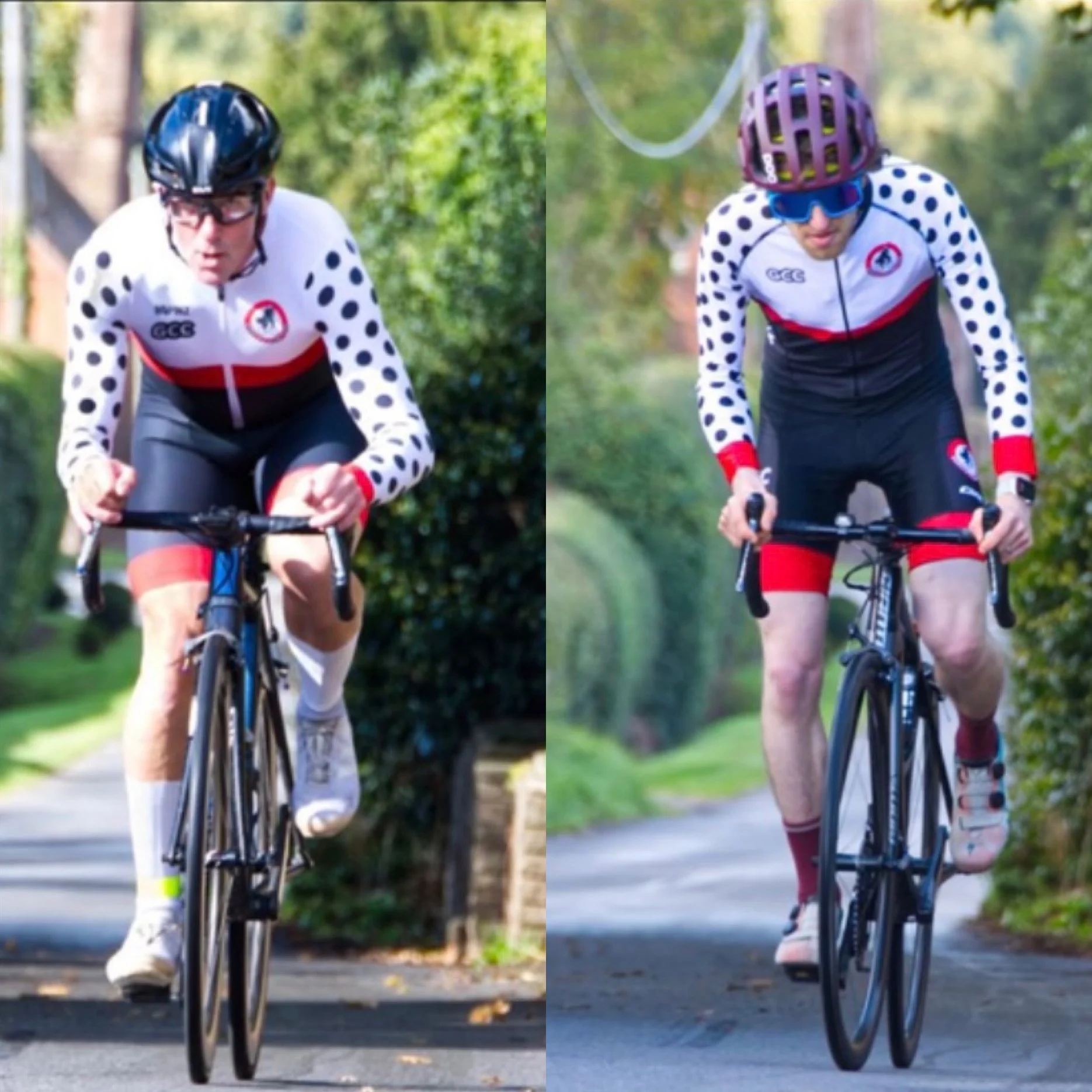 WHAT'S BEEN HAPPENING IN THE MONKEY HOUSE?