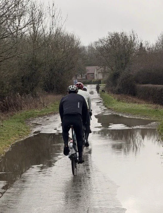 WHAT'S BEEN HAPPENING IN THE MONKEY HOUSE?