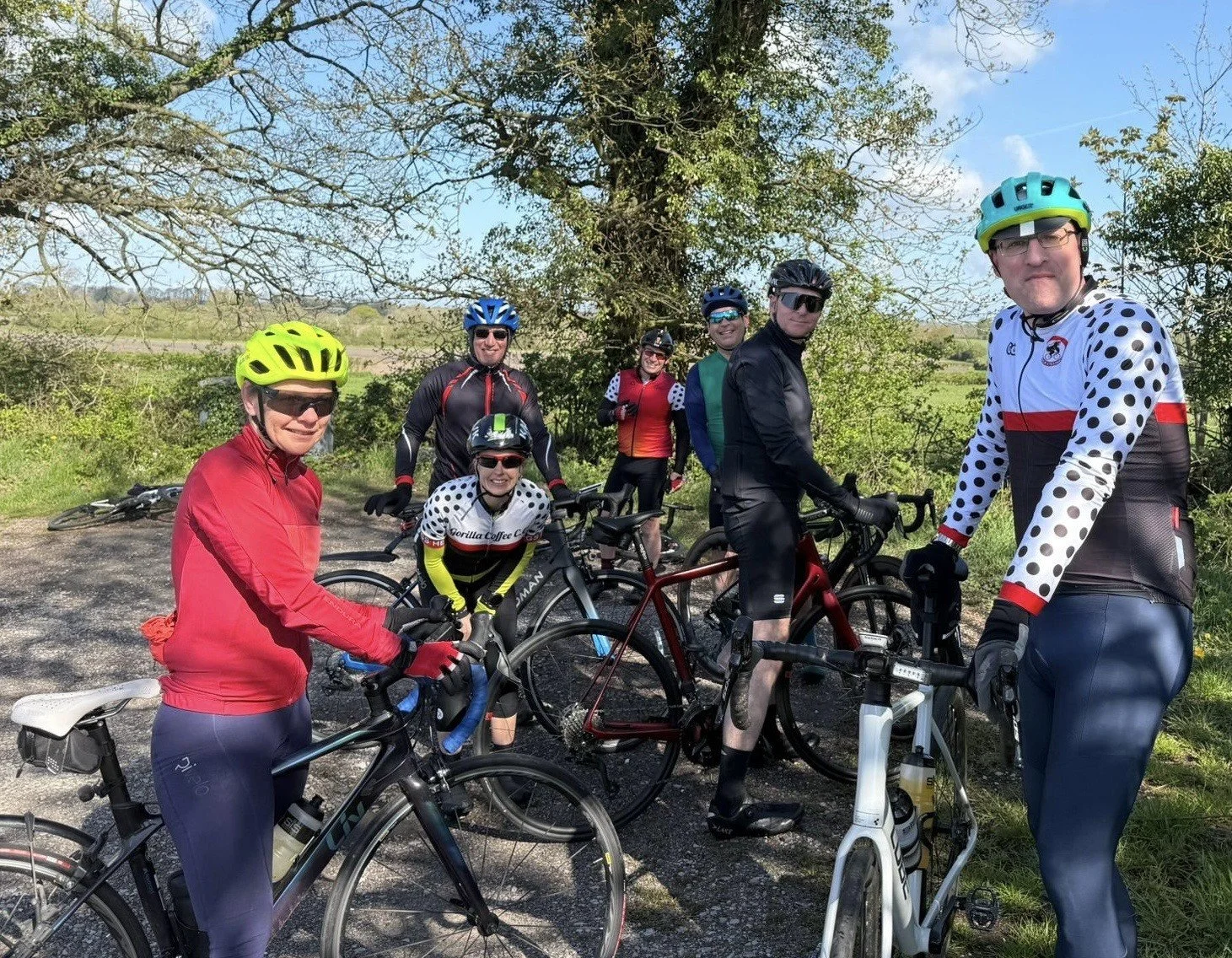 WHAT'S BEEN HAPPENING IN THE MONKEY HOUSE?