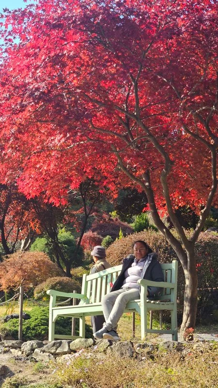 Malagasy Private Tour to The Garden of Morning Calm