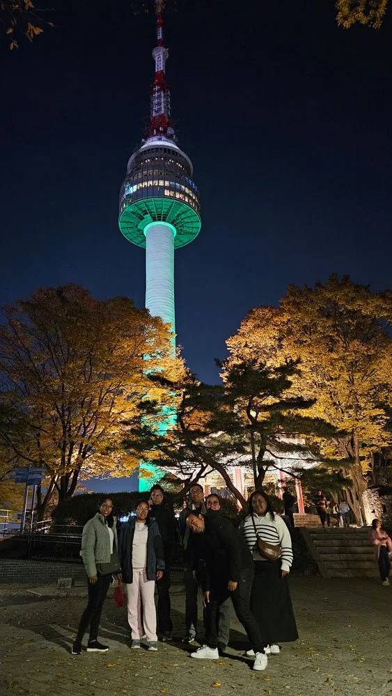 Private Evening Visit to N Seoul Tower for Malagasy Guests