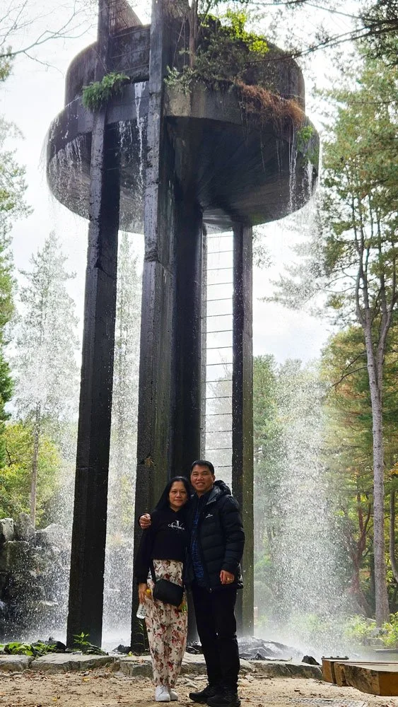 Filipino tourists on a private tour walking along the tree-lined paths of Nami Island in Korea.