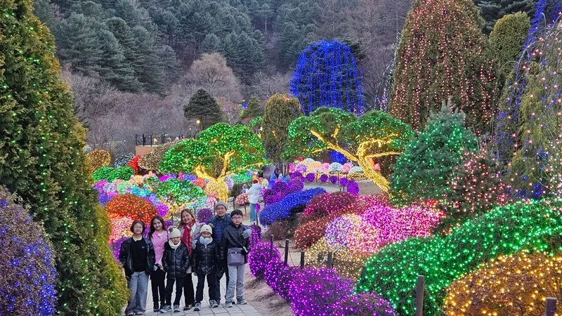 Private family tour at Achimgyo Arboretum in Seoul, South Korea