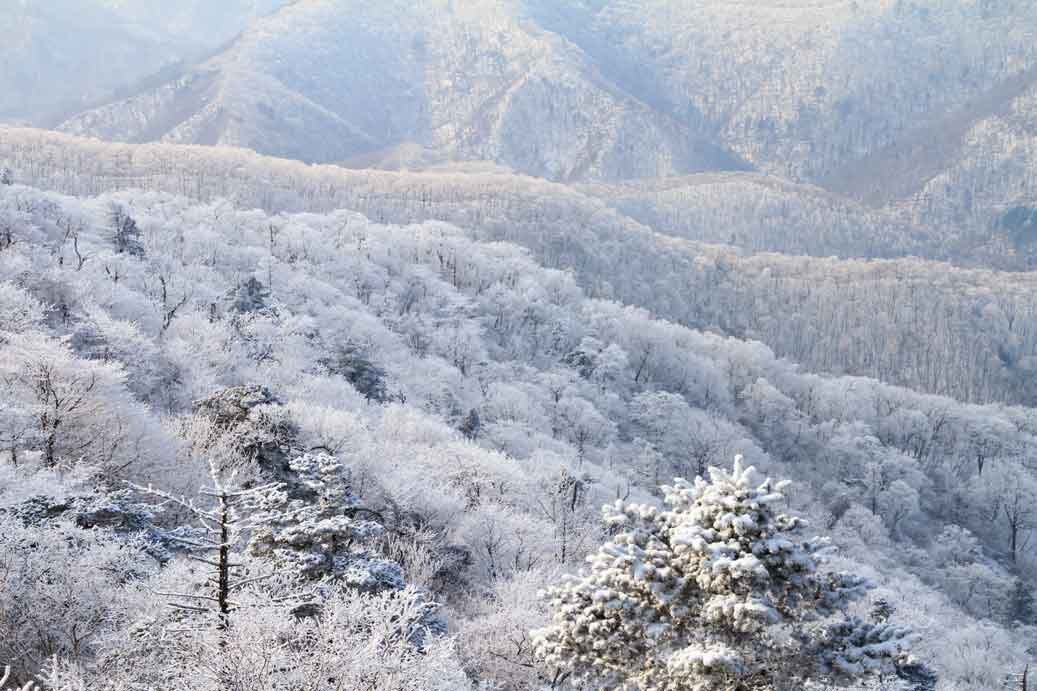 Beautiful autumn foliage on Balwangsan Mountain