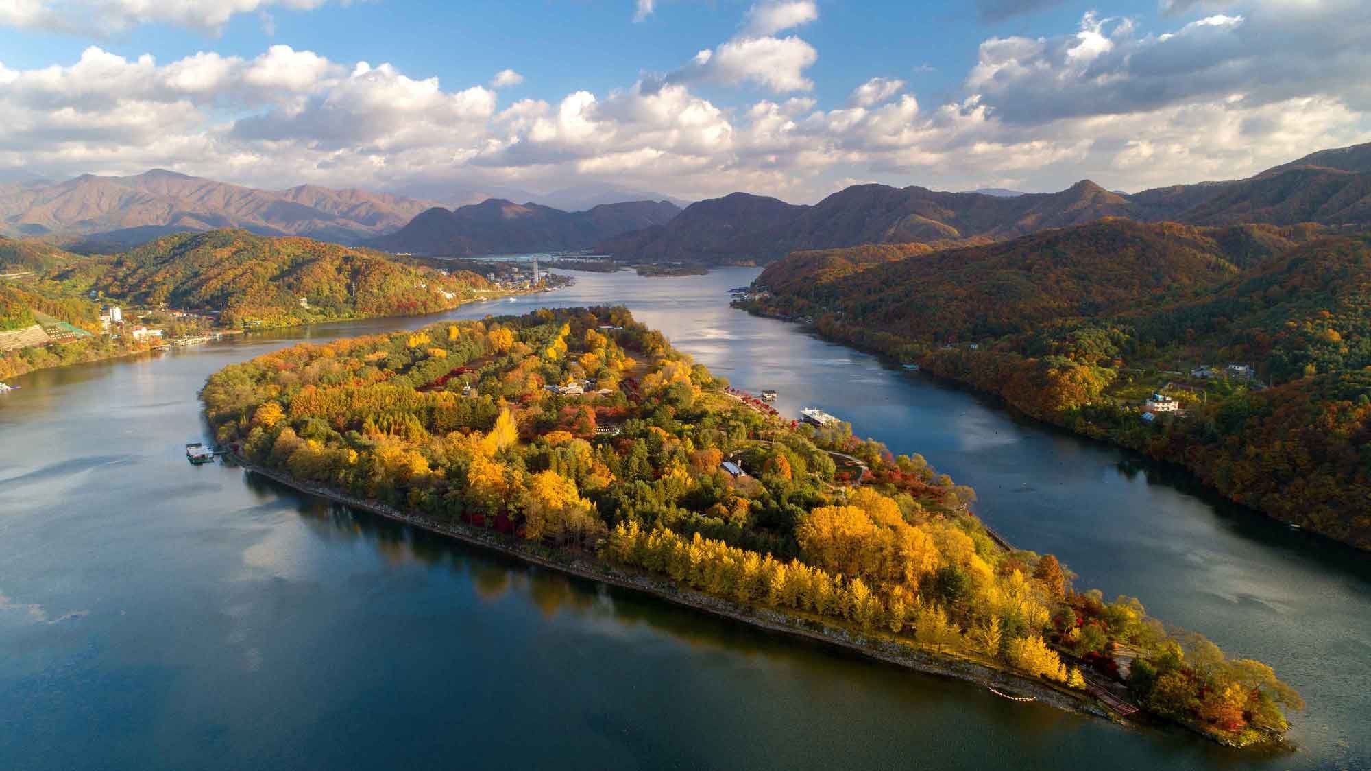 Scenic view of Nami Island with vibrant autumn foliage