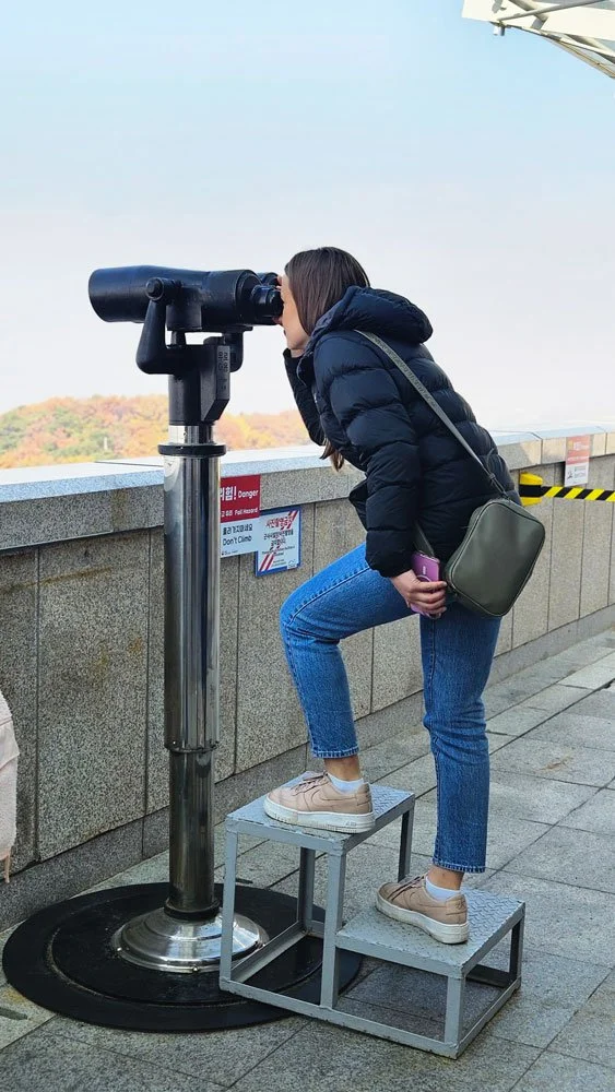 Panoramic view of the Han River and North Korean landscape from Odusan Unification Observatory during a private tour.