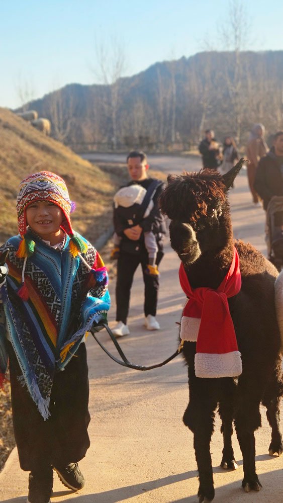 Family private tour of Alpaca World for Singapore Malaysia visitors.