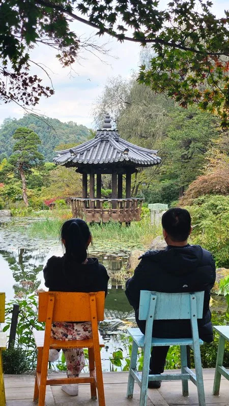 Private guided tour for Filipino tourists strolling through the pine forest path at The Garden of Morning Calm.
