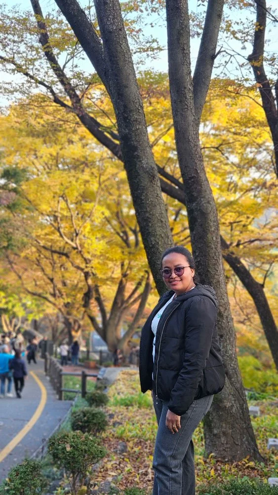 Day & Night Views from N Seoul Tower – Madagascar Private Tour