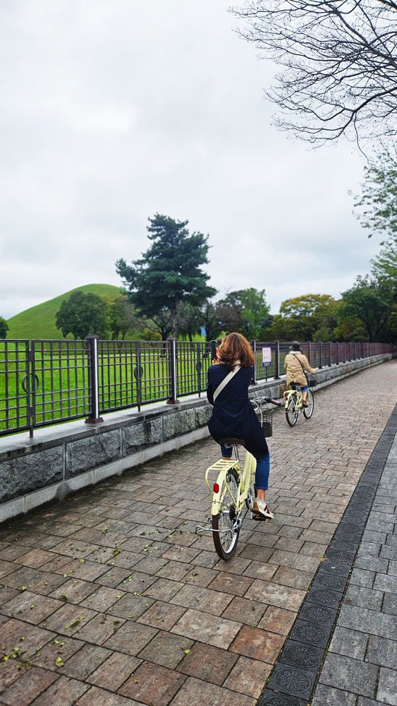 Custom private tour for Spanish guests walking through Daereungwon Royal Tombs in Gyeongju, learning about Korea’s ancient Silla dynasty history.