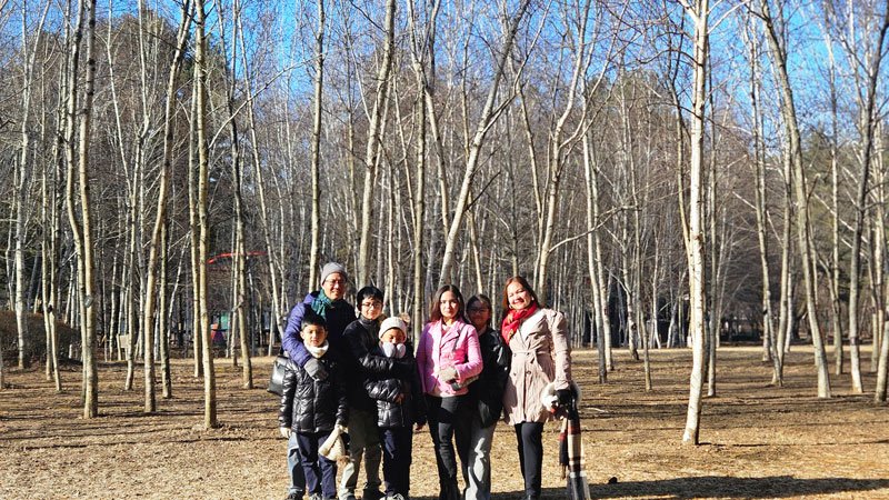 Private family adventure at Nami Island, Seoul, South Korea