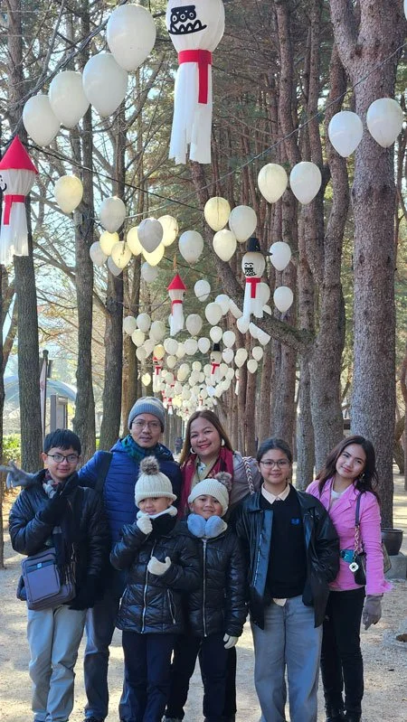 Exclusive private family tour of Nami Island, Seoul, South Korea