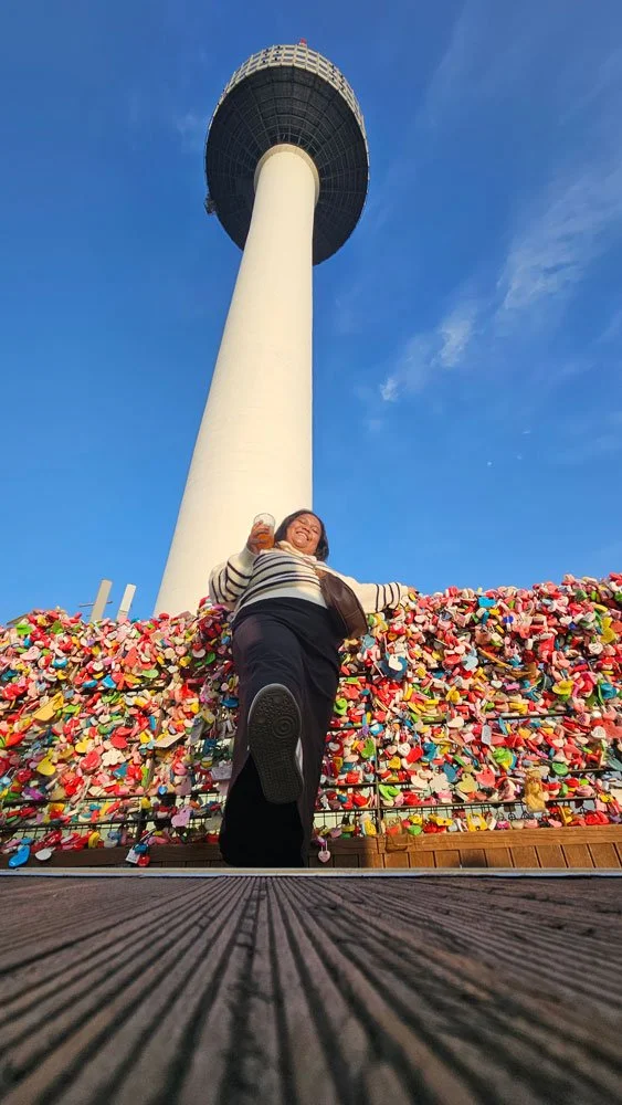 Malagasy Guests Enjoy Scenic N Seoul Tower Views