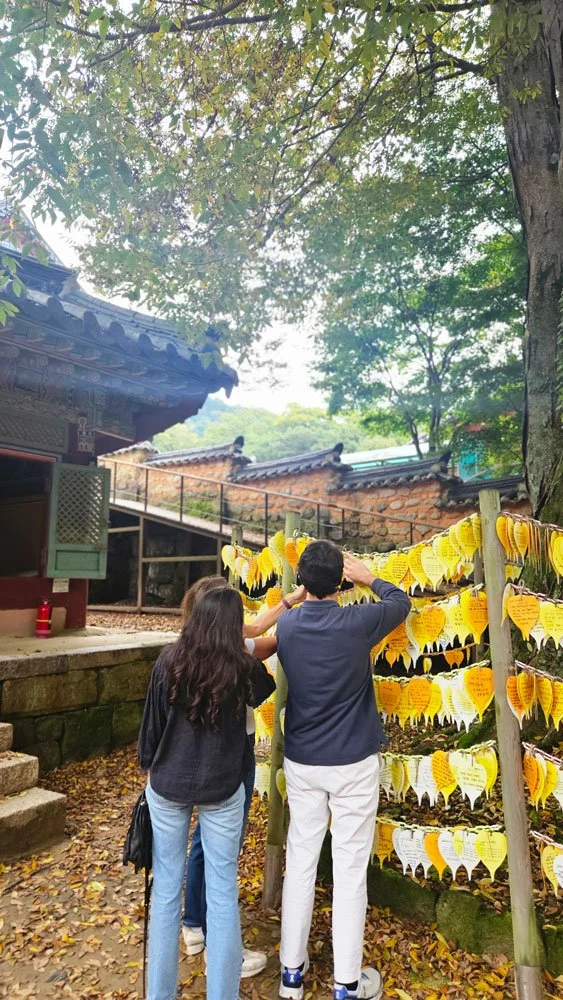 Private Korea travel service for Spanish travelers walking through Haeinsa Temple grounds, combining culture, history, and nature in a tailored itinerary.