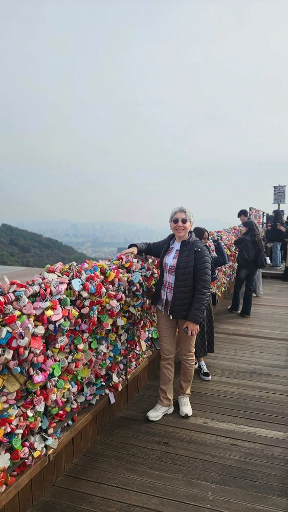 Premium private tour for Turkish guests capturing stunning city views from N Seoul Tower.