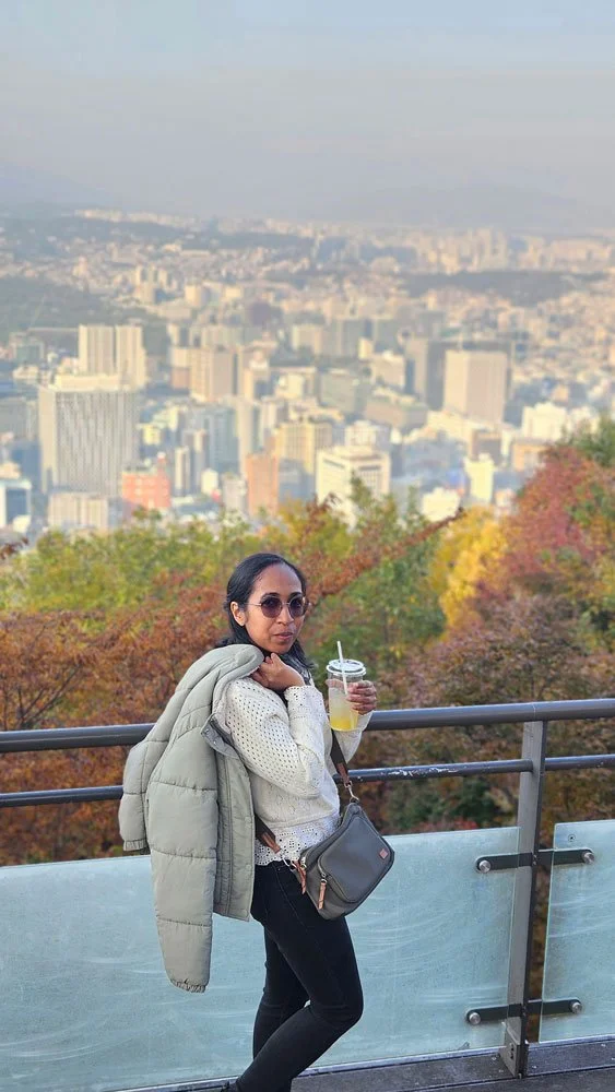 Cityscape Views from N Seoul Tower – Malagasy Private Tour