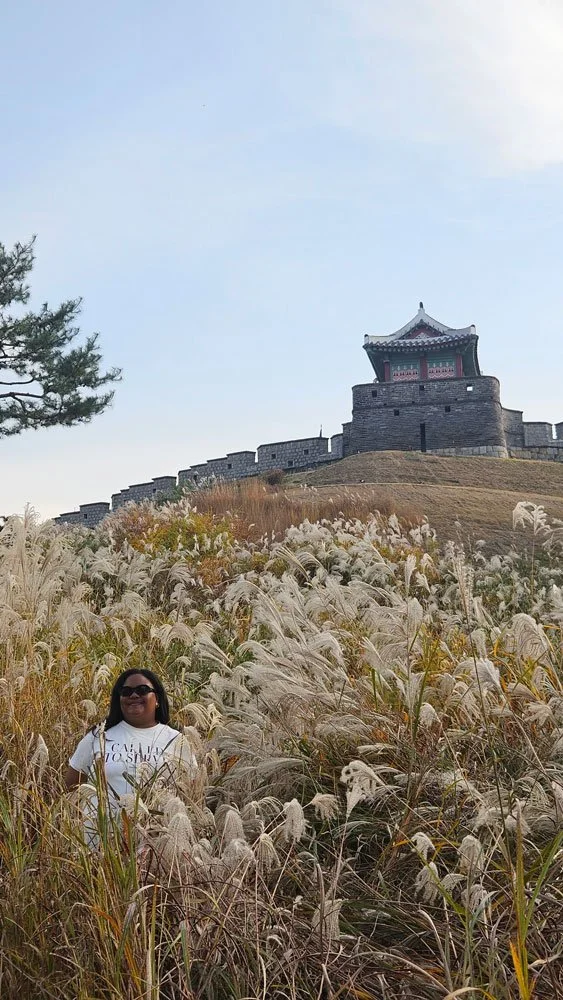 Historic Fortress Exploration – Suwon Hwaseong for Malagasy Guests