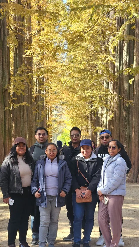 Private Nami Island Day Trip for Malagasy Guests
