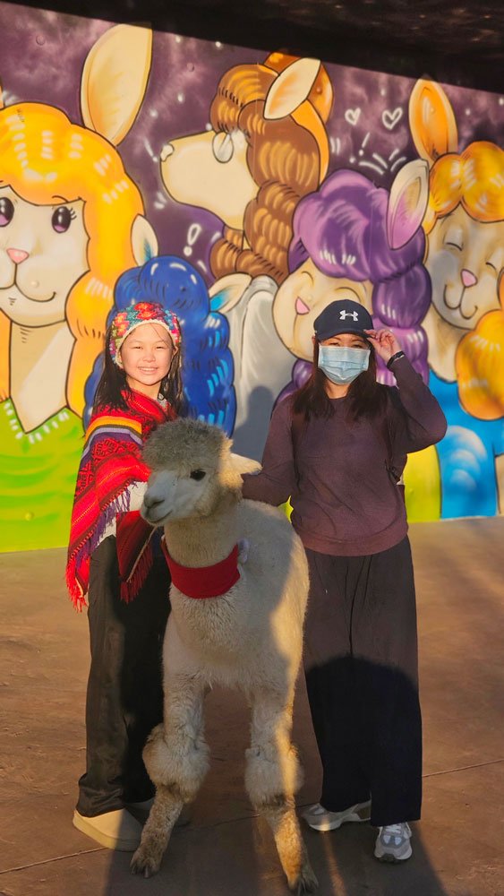 Singapore Malaysia family enjoying a fun-filled trip to Alpaca World.