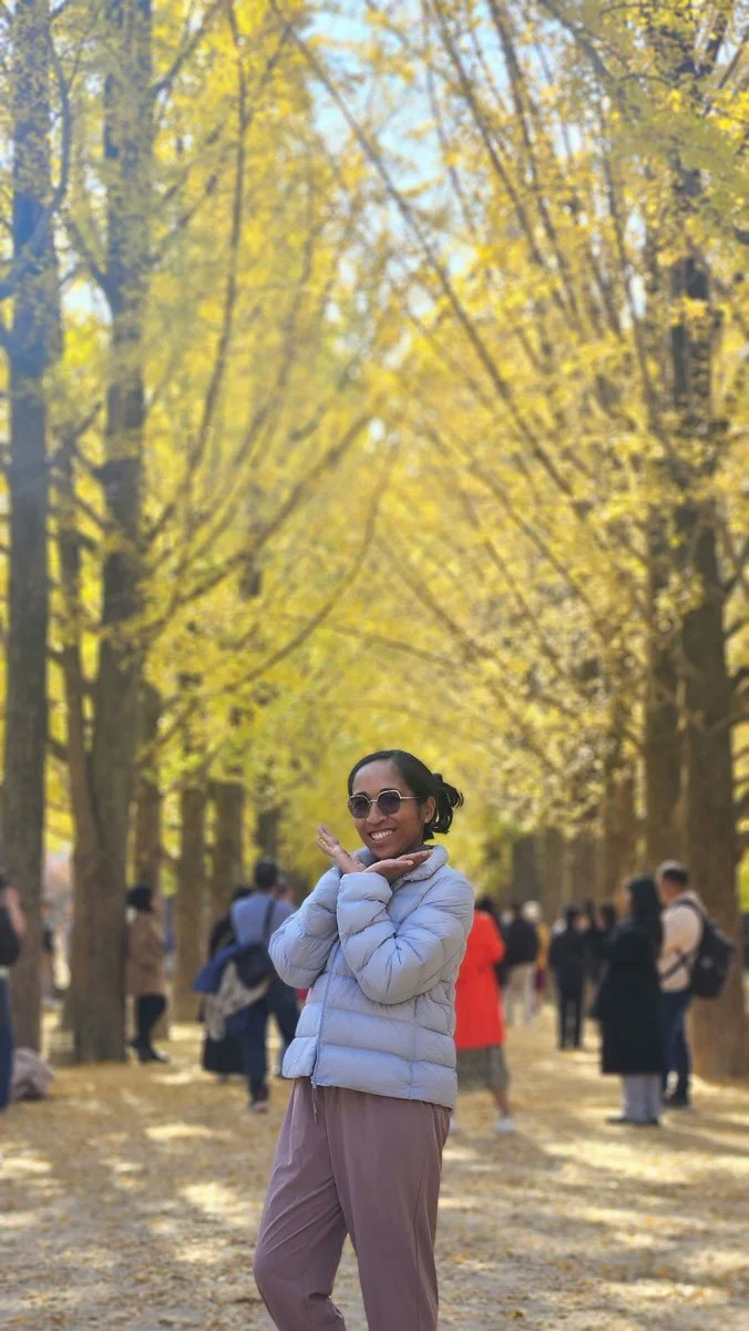 Nami Island Photo Spots – Madagascar Private Tour