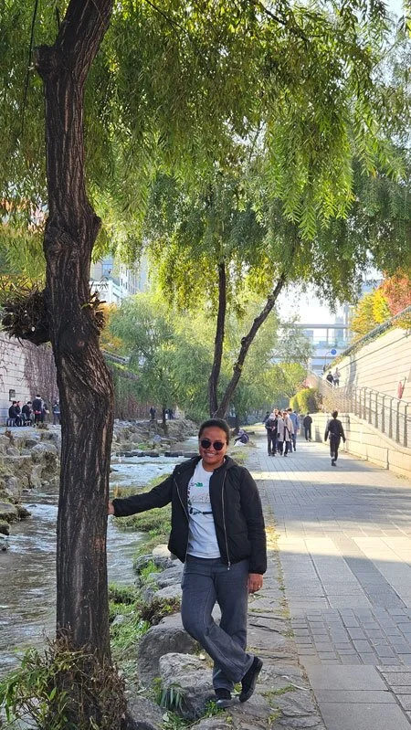 Explore Cheonggyecheon Stream – Malagasy Private Tour