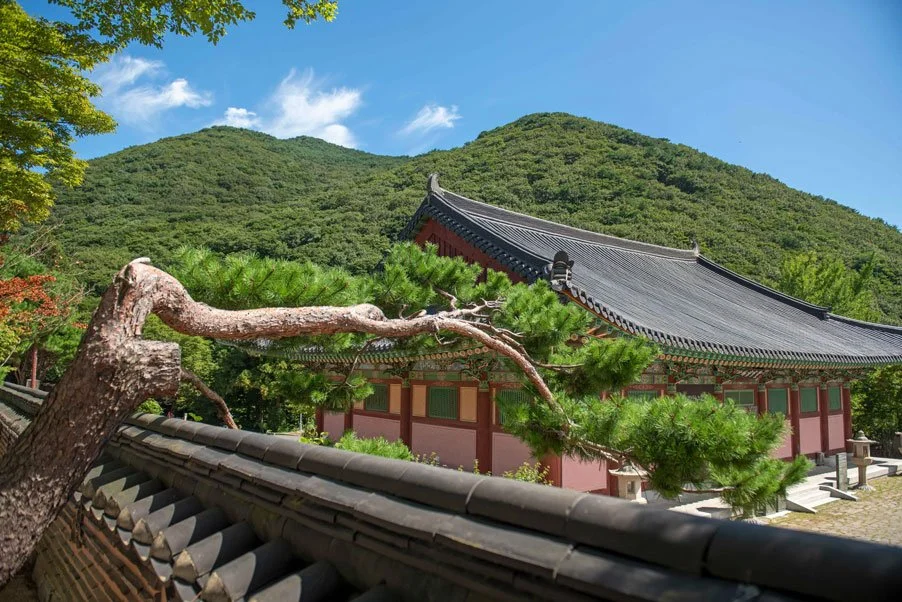 Beomeosa Temple.jpg