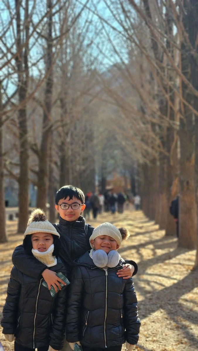 Family adventure on a private tour of Nami Island, Seoul, South Korea