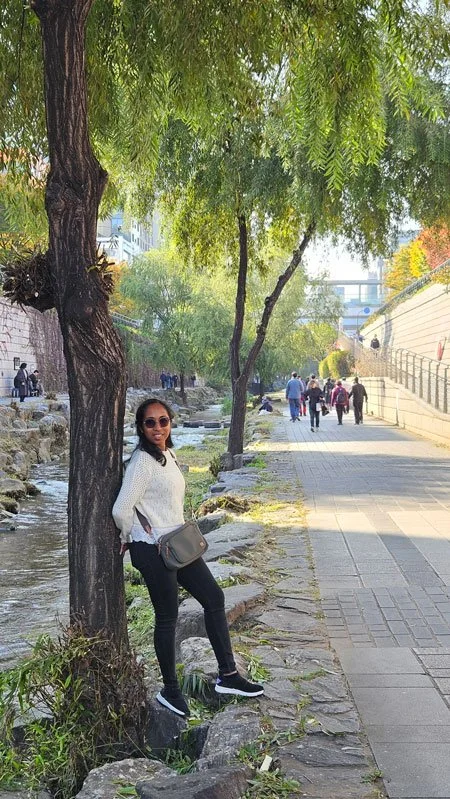 Private Guided Tour at Cheonggyecheon Stream – Madagascar Experience