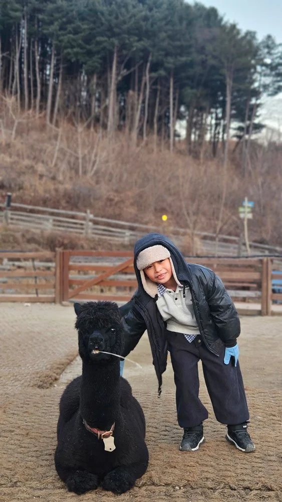 Singapore Malaysia family private tour experience at Alpaca World.