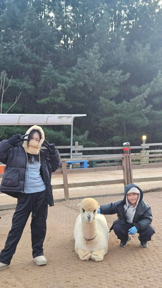 Singapore Malaysia family adventure at Alpaca World.