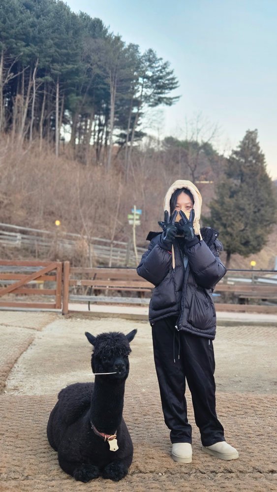 Private family visit to Alpaca World for Singapore and Malaysia travelers.