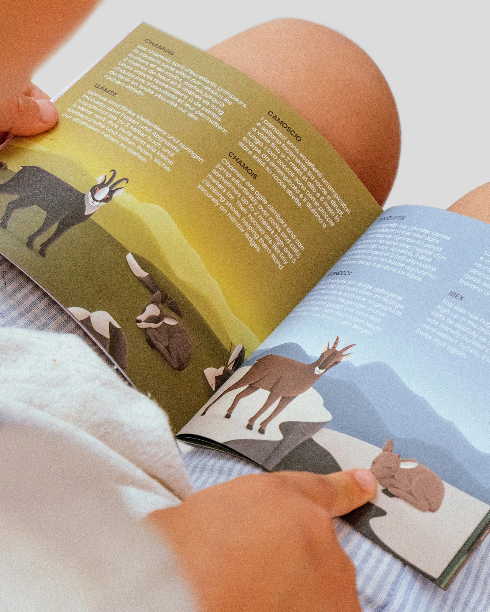 04_SWISS-MEMO-ANIMAUX_HELVETIQ_LAUSANNE_AMELIE-TOUCHET_ILLUSTRATION.jpg