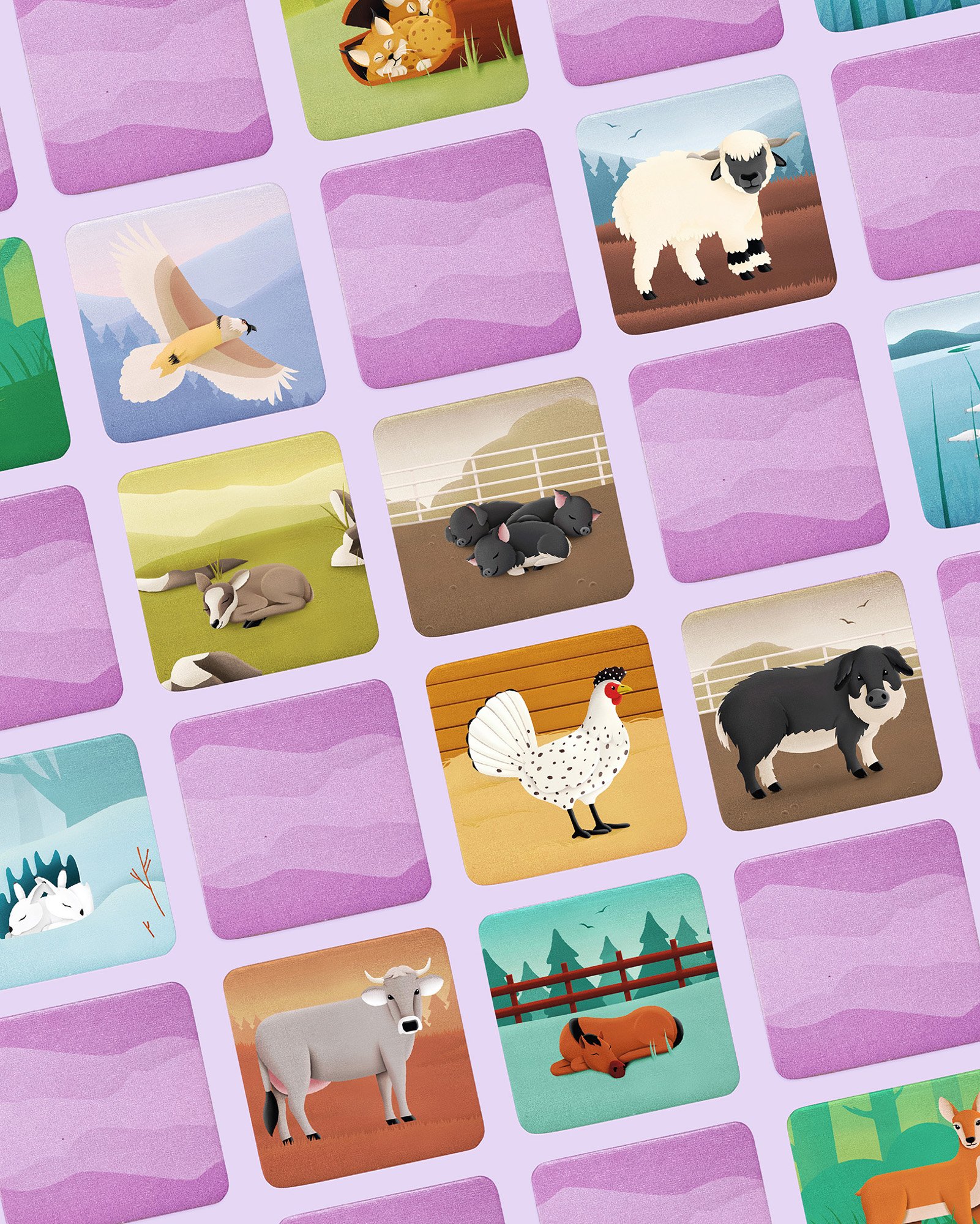 06_SWISS-MEMO-ANIMAUX_HELVETIQ_LAUSANNE_AMELIE-TOUCHET_ILLUSTRATION.jpg