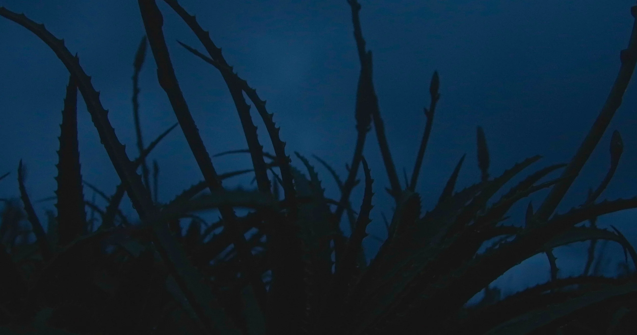 Screen Shot 2020-11-10 at 20.05.45.jpeg