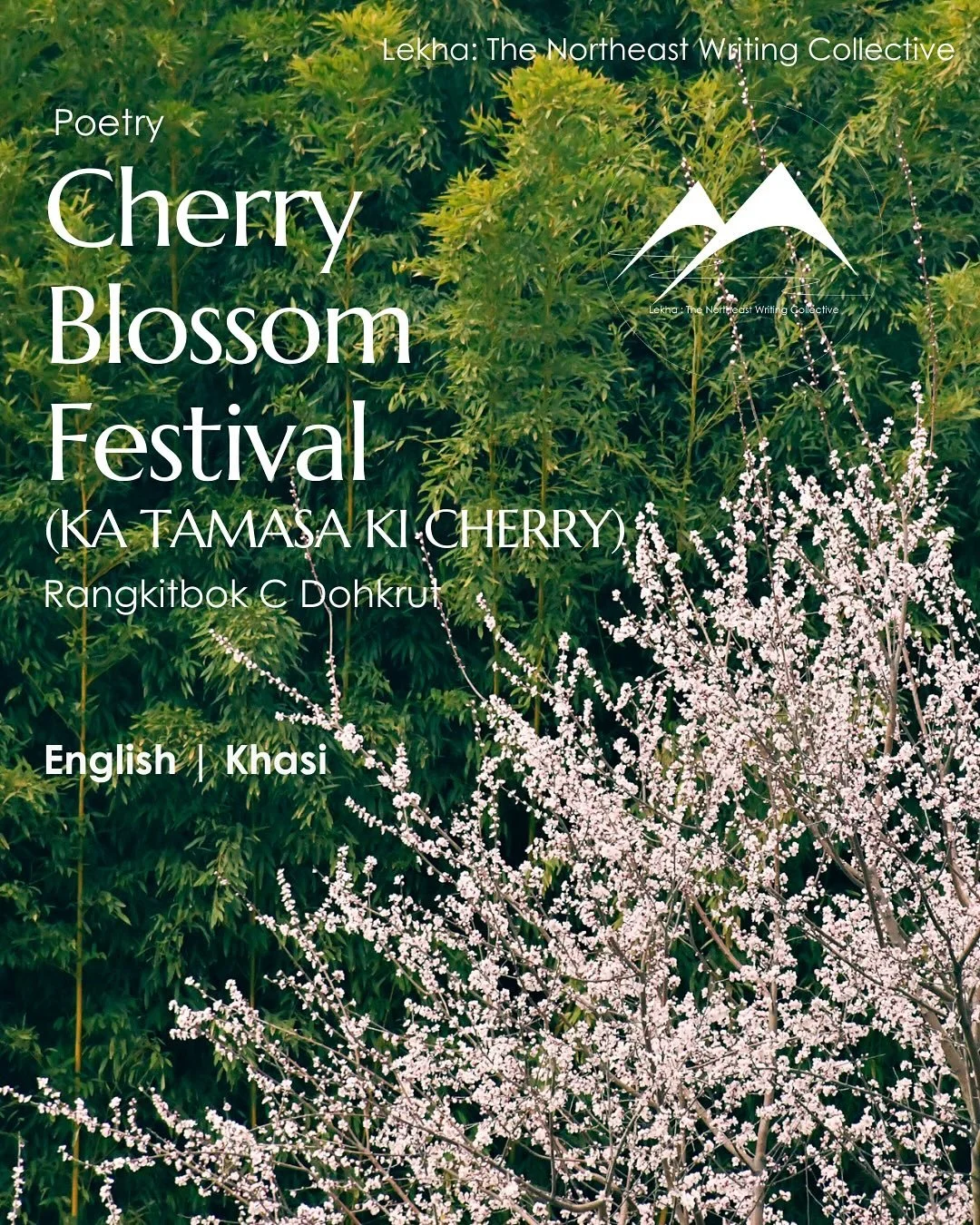 Rangkit C Dohkrut&rsquo;s (@rangkitbok_c) evocative Khasi poem &lsquo;Cherry Blossom Festival&rsquo; and its English translation live on our website now. 

📷 Photograph &lsquo;Blossoms&rsquo; by Anamitra Ray @ray.anamitra 

.
.
.
.
[ Khasi poetry, c