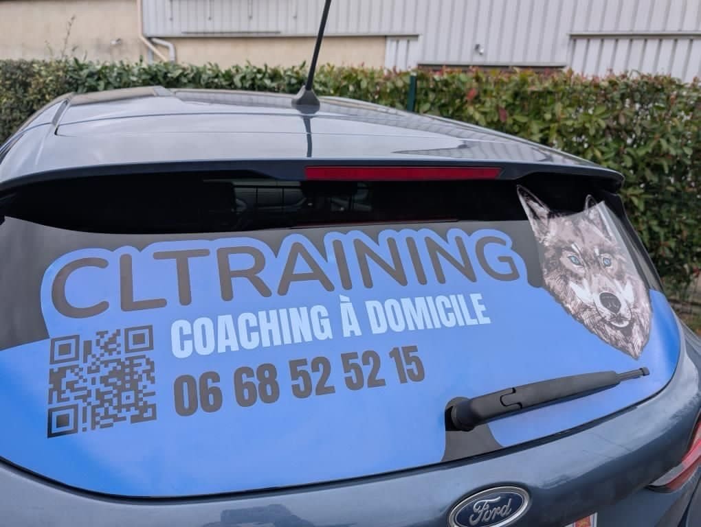 Un petit loup se baladera en voiture secteur Chateauneuf-en-Thymerais pour vous proposez nos services 🐺 🚙 

Merci @agenceartemys. 

#coachsportif #normandie #coach