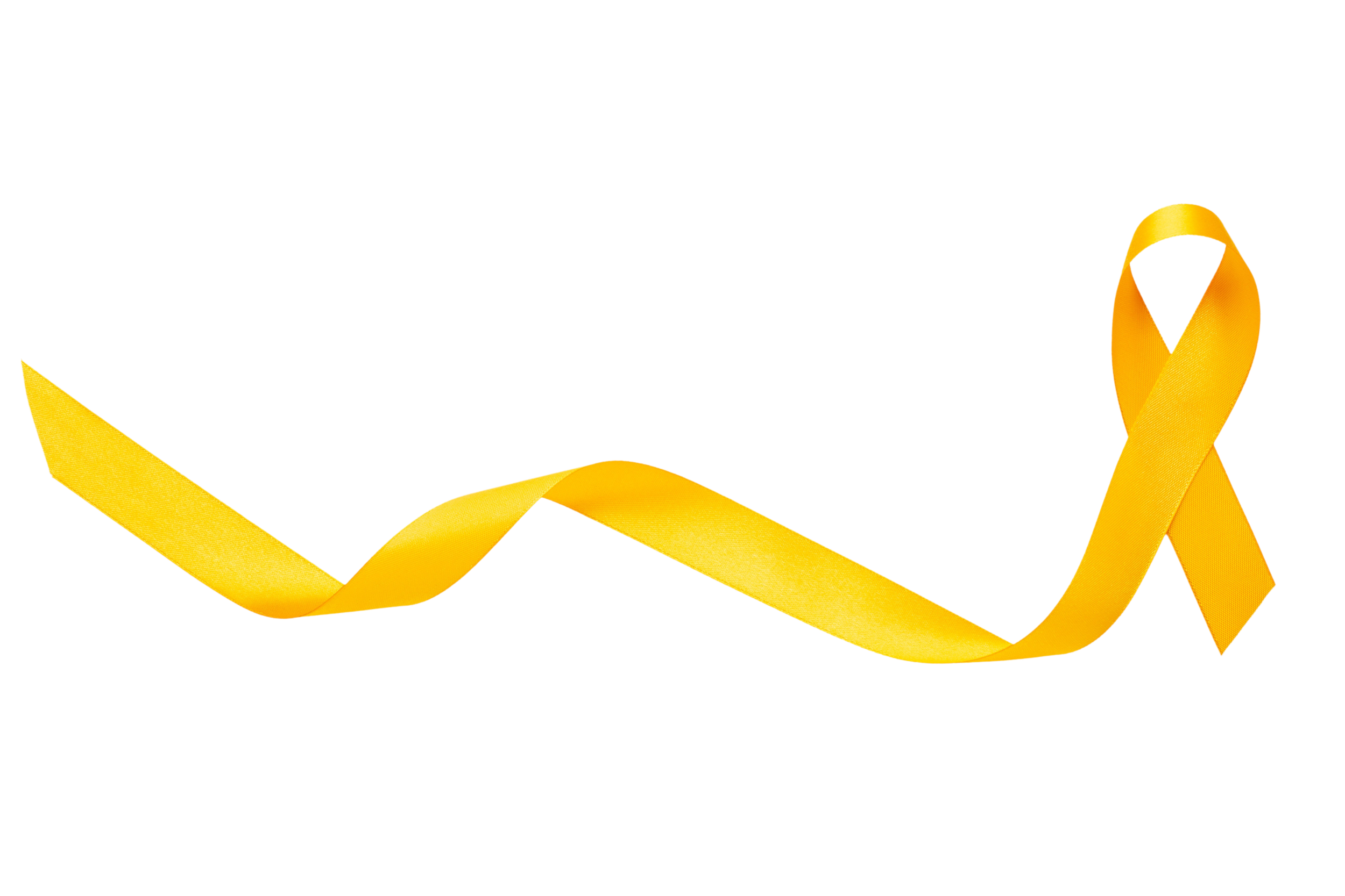 9538640.png