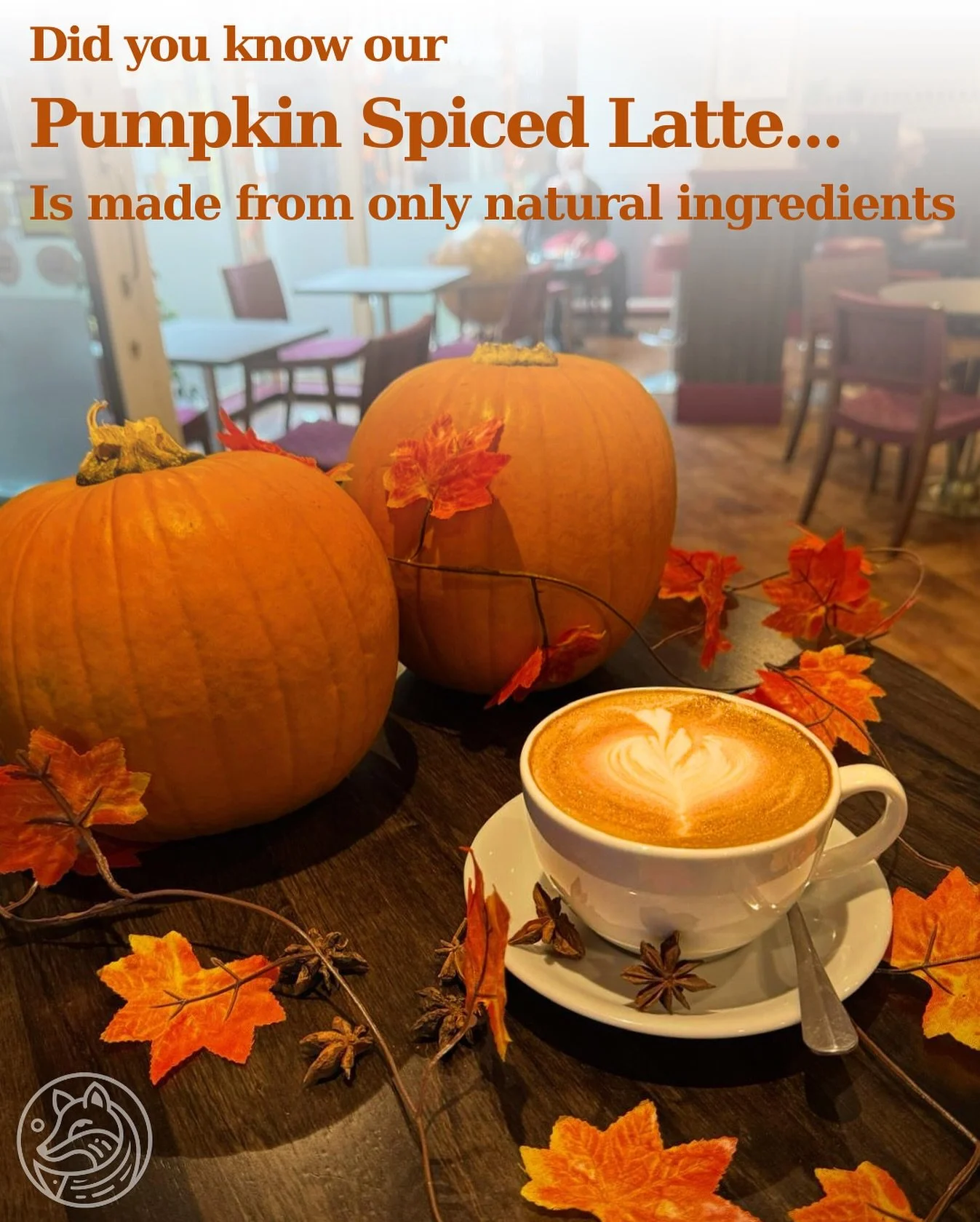 🍂✨ Cozy season is here&hellip; and so is our Pumpkin Spiced Latte ☕🎃

Made only with natural ingredients, it&rsquo;s the perfect autumn hug in a cup. 🌟

👉 Available now at The Crafty Fox &ndash; come warm up with us.

Tag your pumpkin-loving frie