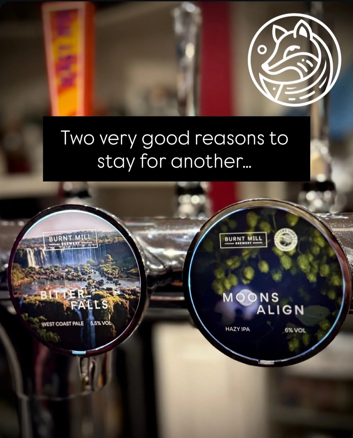 Two very good reasons to stay for another 🍺
Bitter Falls or Moons Align &mdash; both pouring beautifully at The Crafty Fox!

Sometimes the right decision is simply&hellip; one more.

We regularly have new beers on tap&hellip; so keep a look out for 