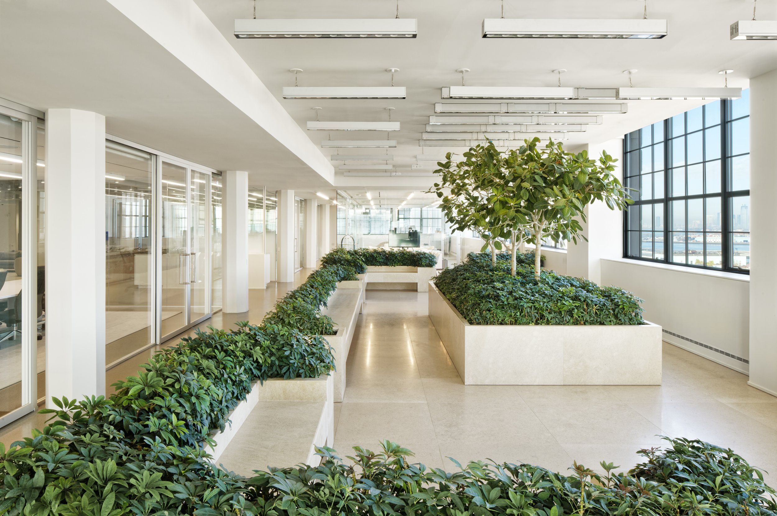 AT-NetsOffices-6.jpg