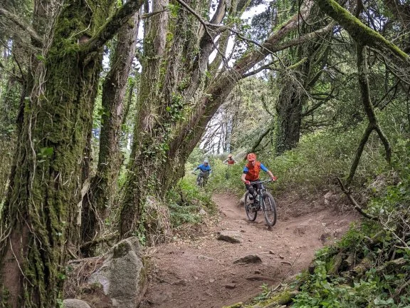 sintra-mountain-biking-headline.ed4707e37af4.jpg
