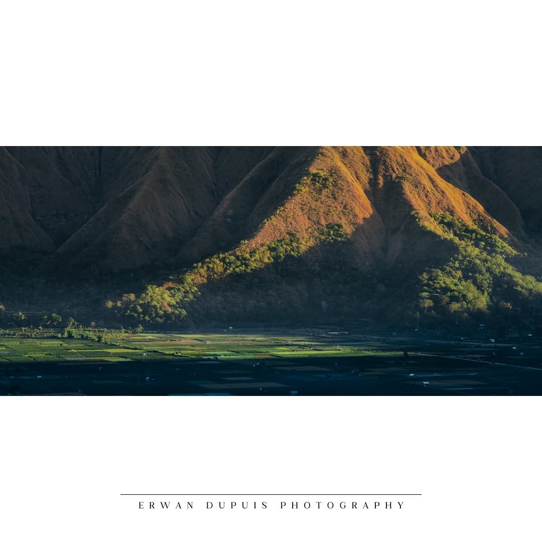 🏵️ Sun Fields
📷 Captured with @sonyalpha #A7RIV
🔭 Lens used sony 24-105 mm F4 OSS #SEL24105G
🌎 Taken at Sembalun (Lombok) / Indonesia
@sonyalpha_id @sony @sonyalphaclub @sonyalphagallery
#SonyAlpha #MyAlphaStory #SonyIndonesia #SonyAlpha_id
#In