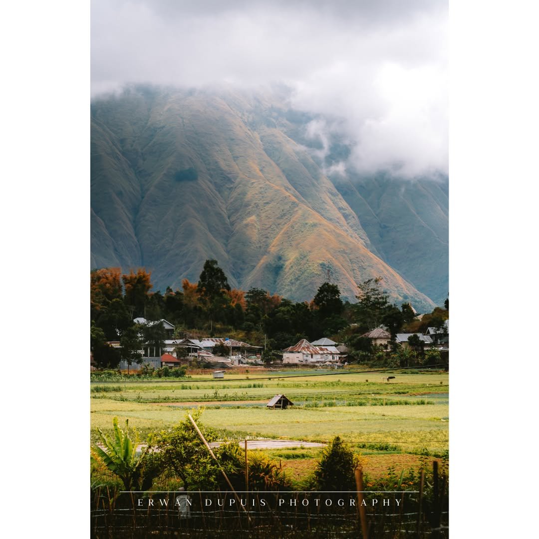 🌾 Little House on the Prairie
📷 Captured with @sonyalpha #A7RIV
🔭 Lens used Tamron 70-300 mm F4.5 - 6.3 Di III RXD #Tamron70300
🌎 Taken at Sembalun (Lombok) / Indonesia
@sonyalpha @sony @sonyalpha_id @sonyalphaclub @sonyalphagallery @tamronamer