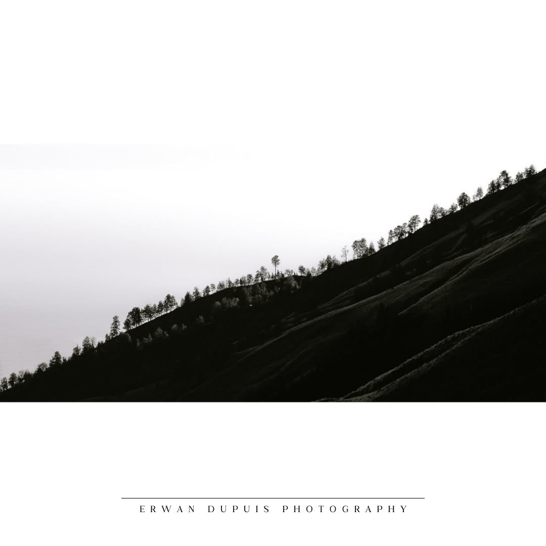 🏔️ The Slope
📷 Captured with @sonyalpha #A7RIV
🔭 Lens used sony 24-105 mm F4 OSS #SEL24105G
🌎 Taken at Rinjani Volcano (Lombok) / Indonesia
@sonyalpha @sony @sonyalpha_id @sonyalphaclub @sonyalphagallery
#SonyAlpha #MyAlphaStory #SonyIndonesia