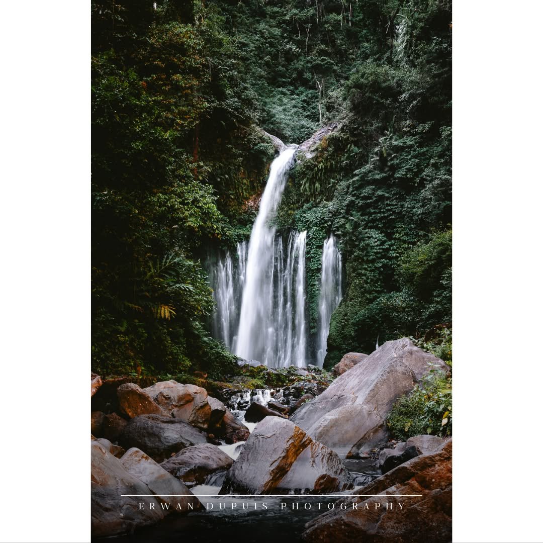 🌊 Jungle Source
📷 Captured with @sonyalpha #A7RIV
🔭 Lens used sony 24-105 mm F4 OSS #SEL24105G
🌎 Taken at Senaru (Lombok) / Indonesia
@sonyalpha @sony @sonyalpha_id @sonyalphaclub @sonyalphagallery
#SonyAlpha #MyAlphaStory #SonyIndonesia #SonyA