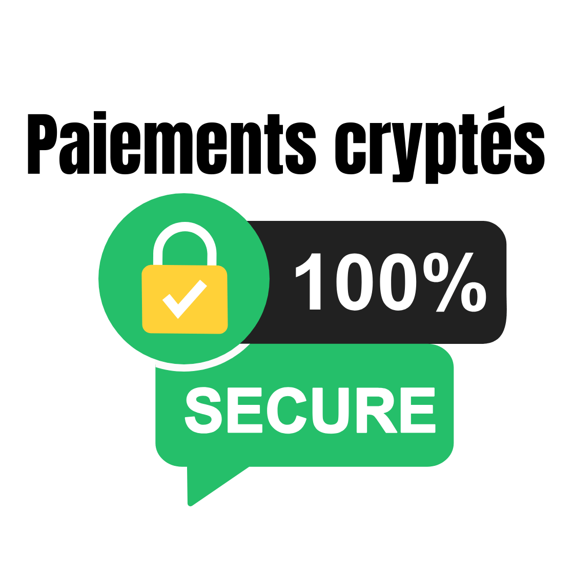 Illustration indiquant que les paiements cryptés sont sécurisés à 100%, avec un cadenas vert et la mention "SECURE".