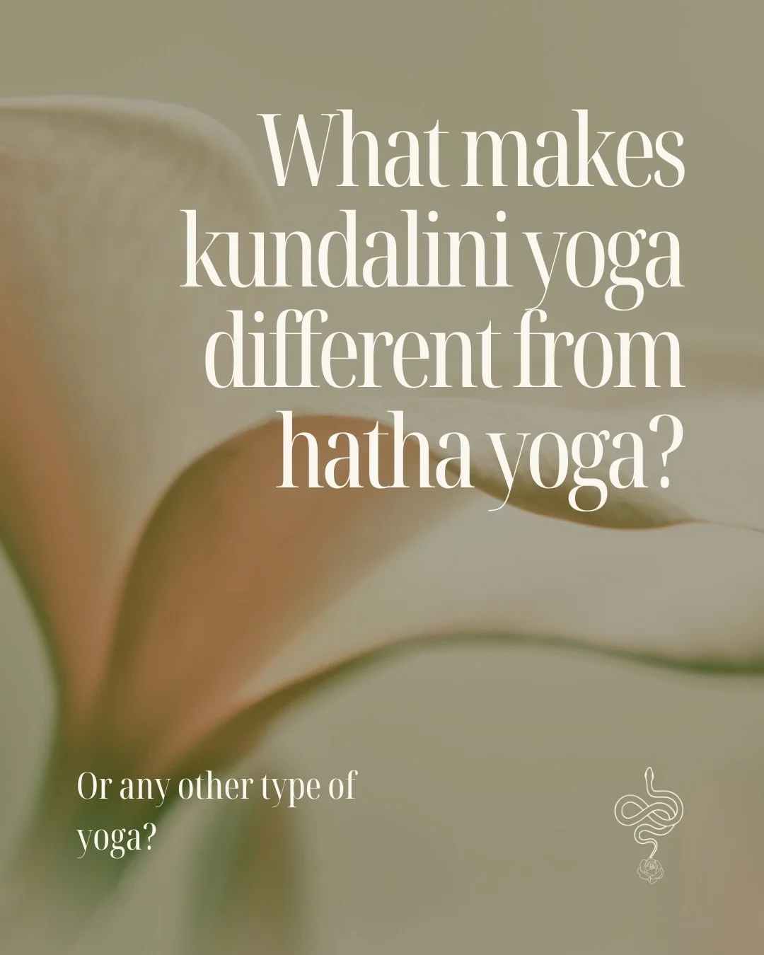 Kundalini yoga combines core components of hatha and other forms of yoga, and offers them all at the same time to raise the flow of kundalini energy. It is rapid, laser-focused transformation 🐍