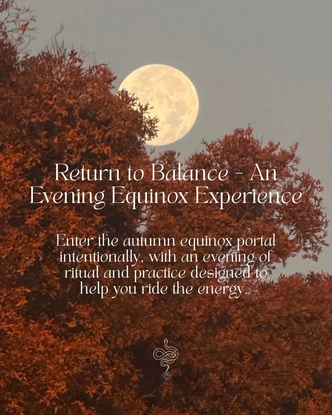 Return to Balance - An Evening Equinox Experience 🕯️

Enter the autumn equinox portal intentionally, with an evening of ritual and practice designed to help you ride the energy.

As we turn to the season of reflection we&rsquo;re asked to reline our