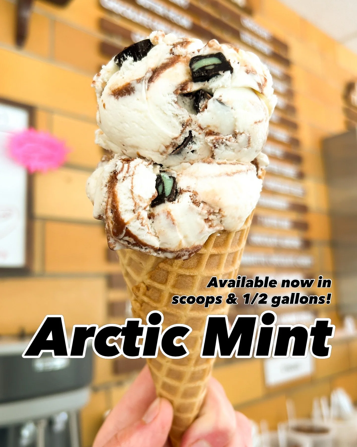 Happy Sunday! We finally brought back Arctic Mint! It&rsquo;s one of my favorite flavors, and highly underrated. It&rsquo;s mint ice cream with fudge swirls and Chocolate-mint chunks!